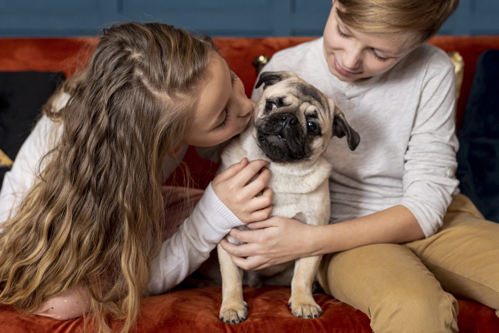 perros para niños pug carlino