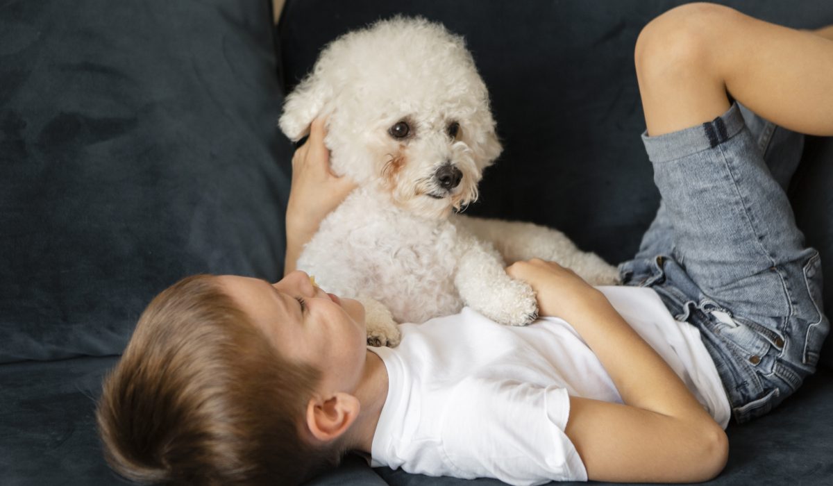 Perros pequeños para niños