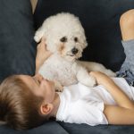 Perros pequeños para niños